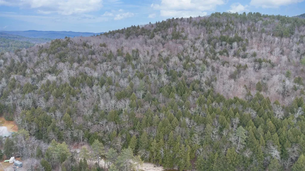 00 Route 100 Jamaica VT 05343