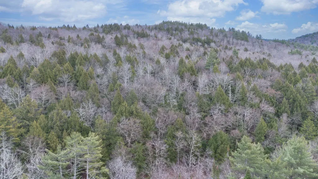 00 Route 100 Jamaica VT 05343