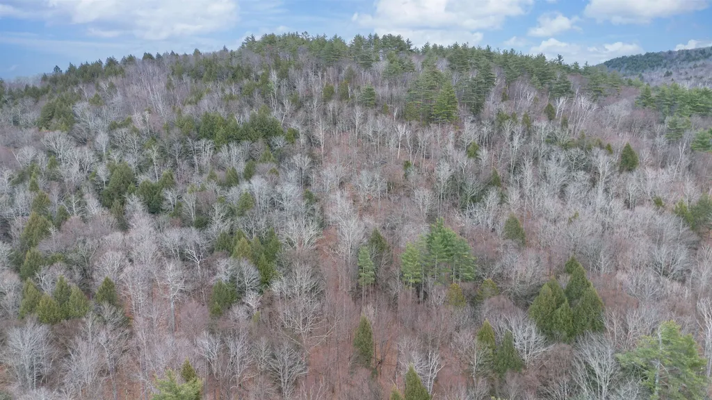 00 Route 100 Jamaica VT 05343