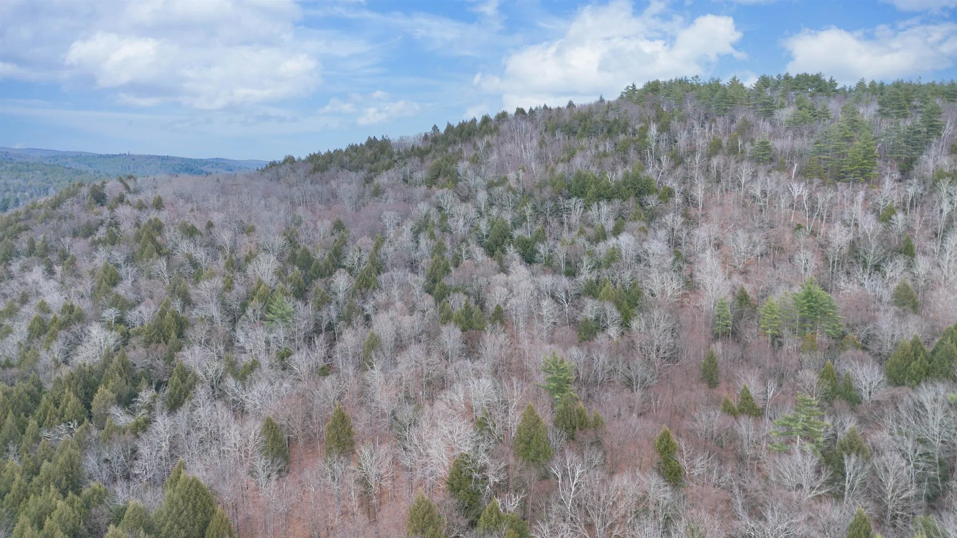 00 Route 100 Jamaica VT 05343