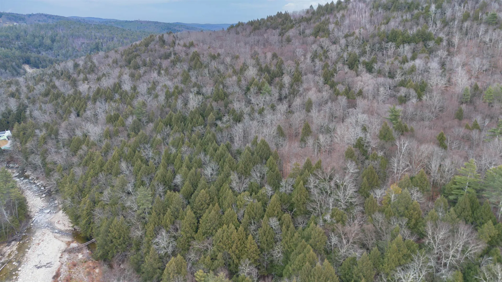 00 Route 100 Jamaica VT 05343