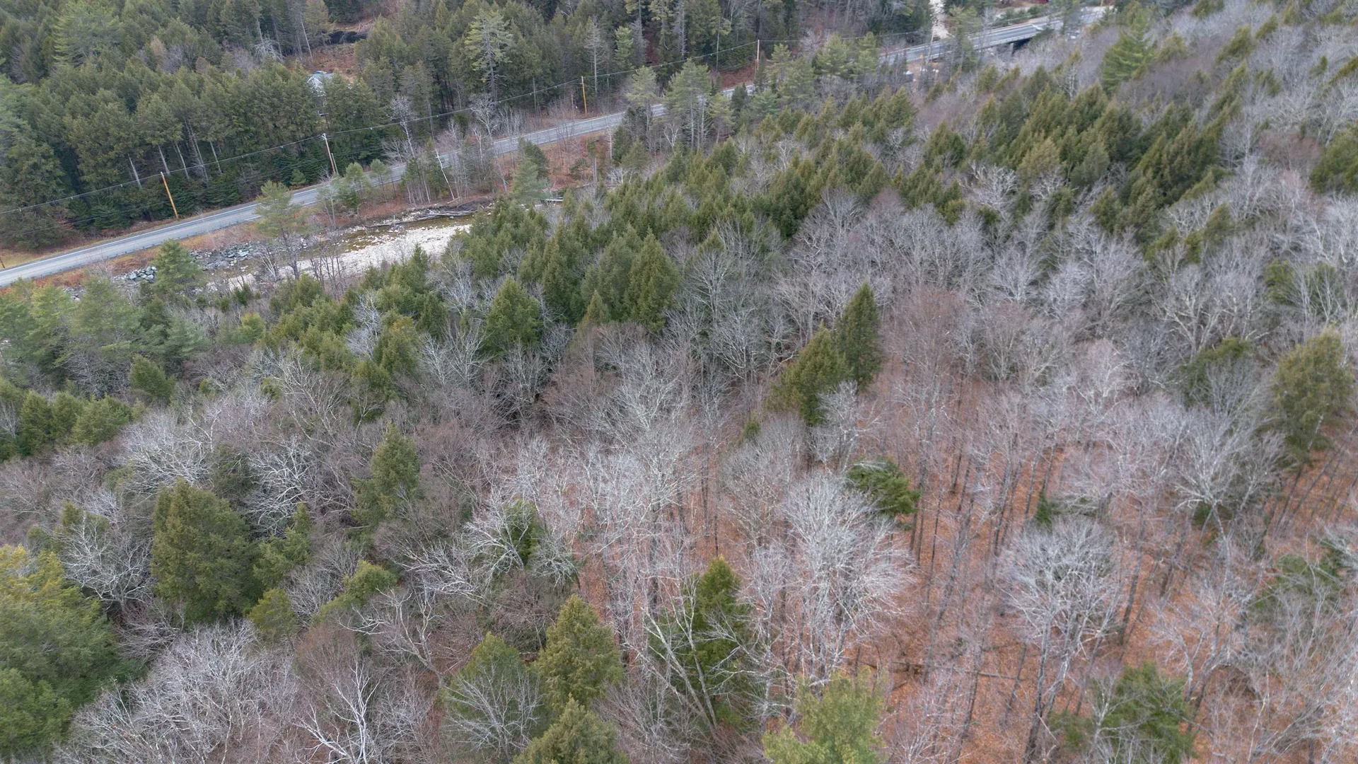 00 Route 100 Jamaica VT 05343