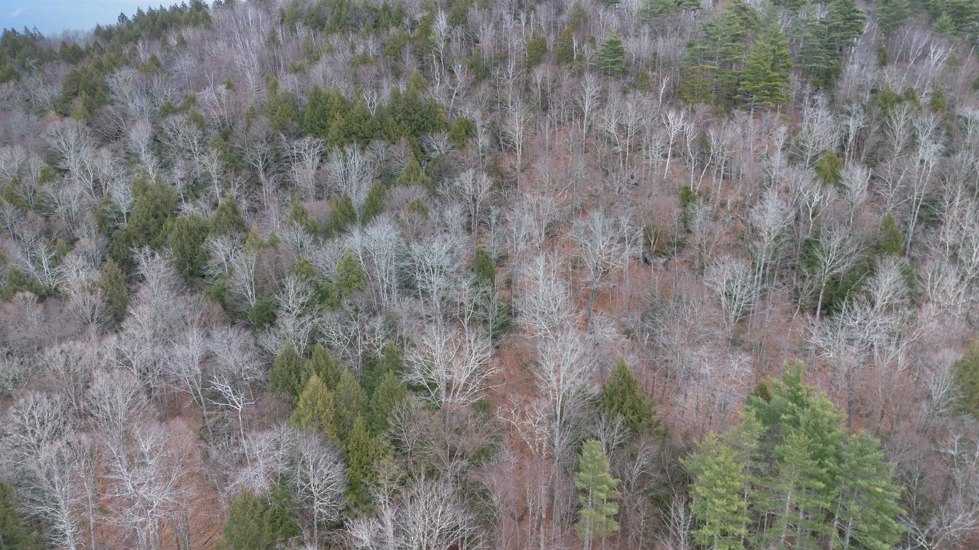 00 Route 100 Jamaica VT 05343