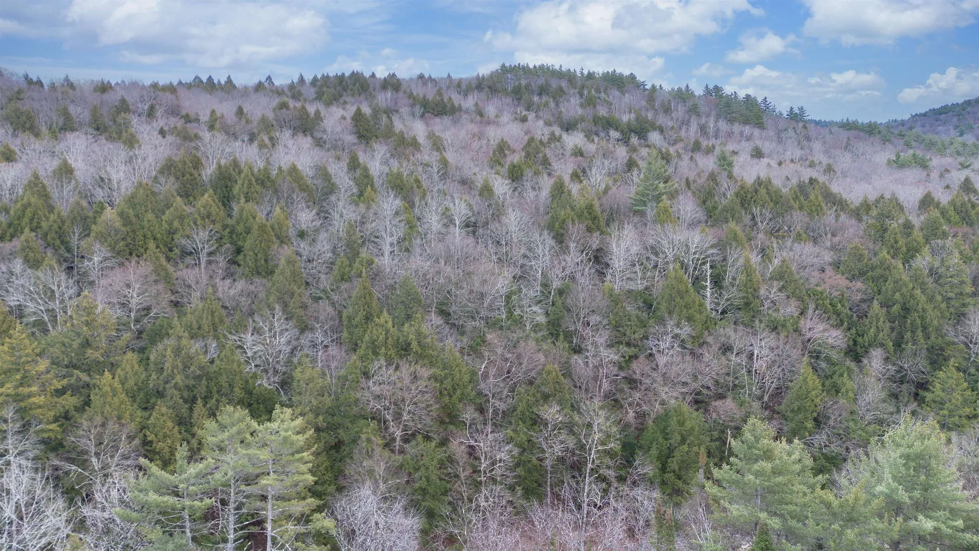 00 Route 100 Jamaica VT 05343