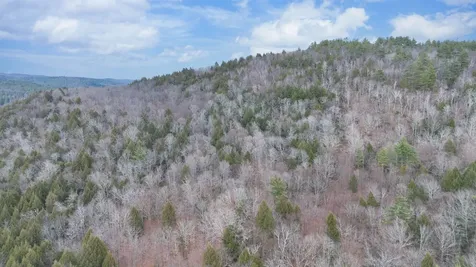 00 Route 100 Jamaica VT 05343