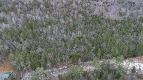 00 Route 100 Jamaica VT 05343