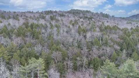 00 Route 100 Jamaica VT 05343