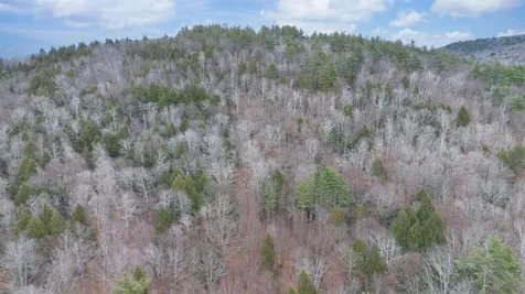 00 Route 100 Jamaica VT 05343