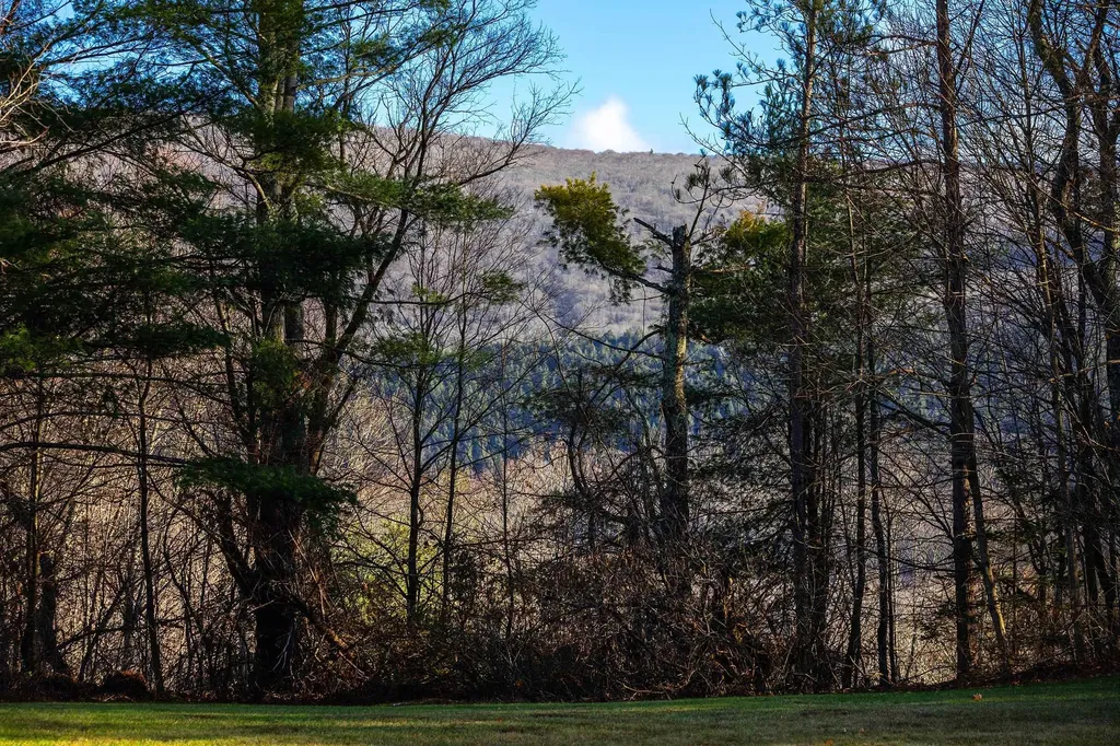 490 Barnumville Road Manchester VT 05255