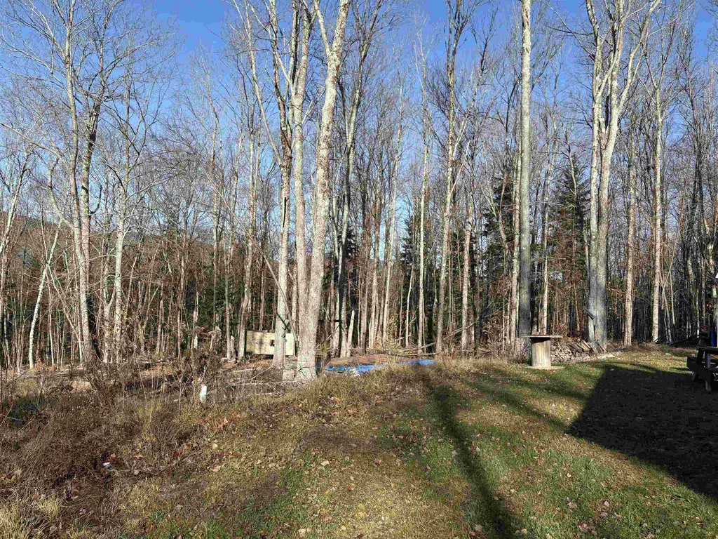 103 Bear Hill Road West Ludlow VT 05149