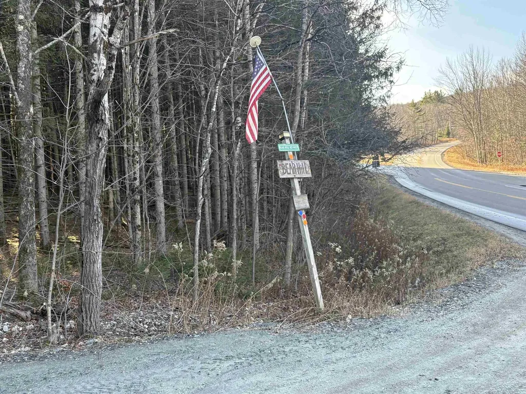 103 Bear Hill Road West Ludlow VT 05149