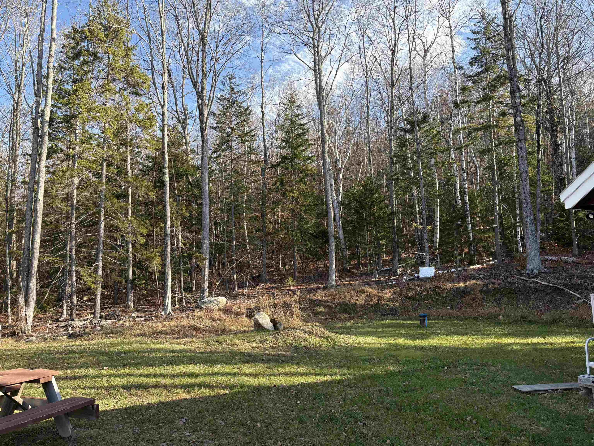 103 Bear Hill Road West Ludlow VT 05149