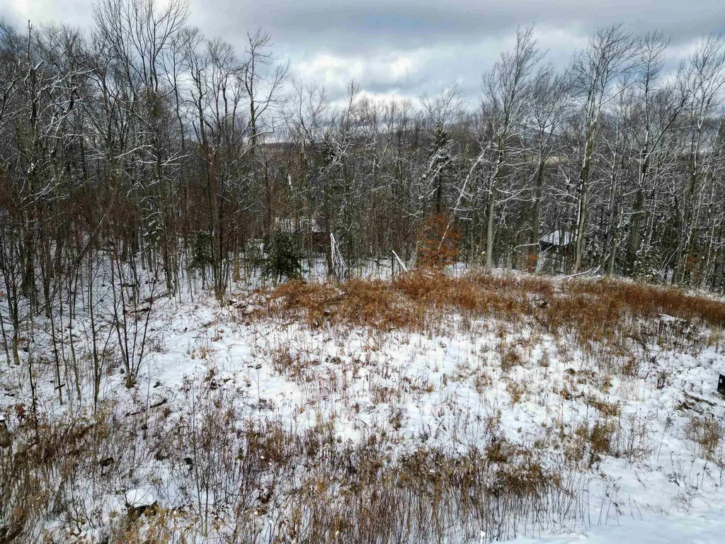 41 Moose Hollow Road Winhall VT 05340