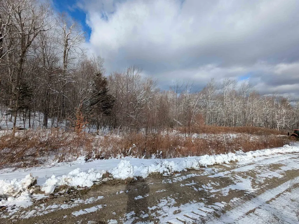 41 Moose Hollow Road Winhall VT 05340