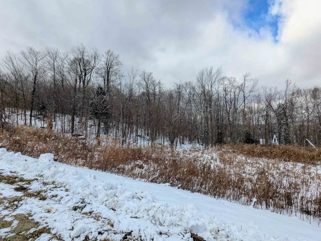 41 Moose Hollow Road Winhall VT 05340