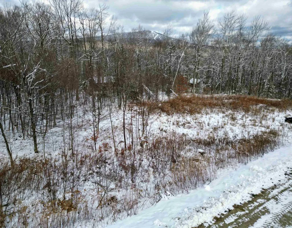 41 Moose Hollow Road Winhall VT 05340