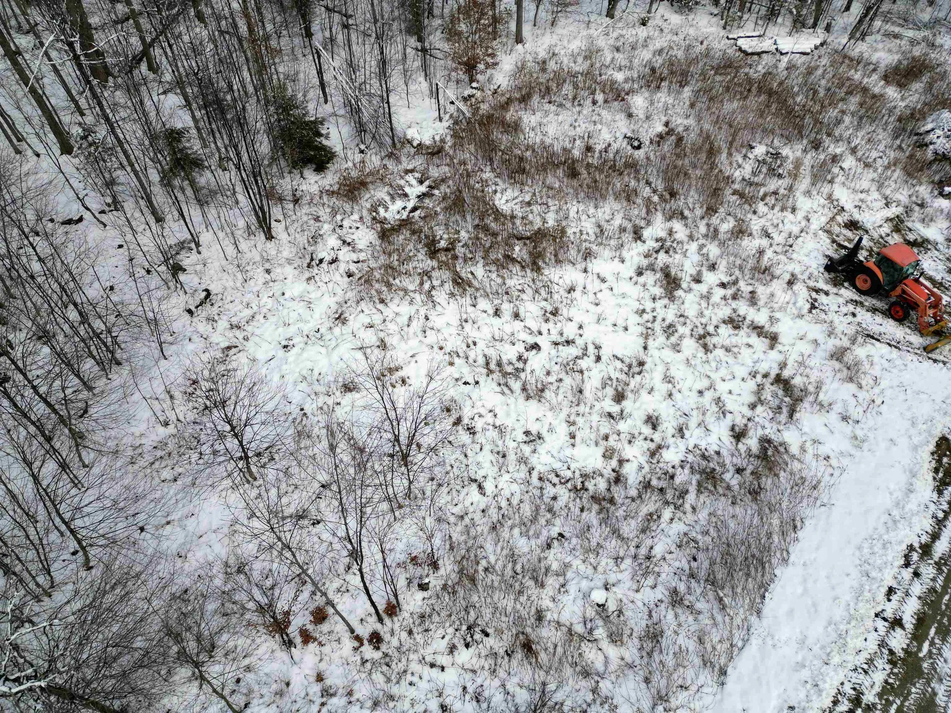 41 Moose Hollow Road Winhall VT 05340