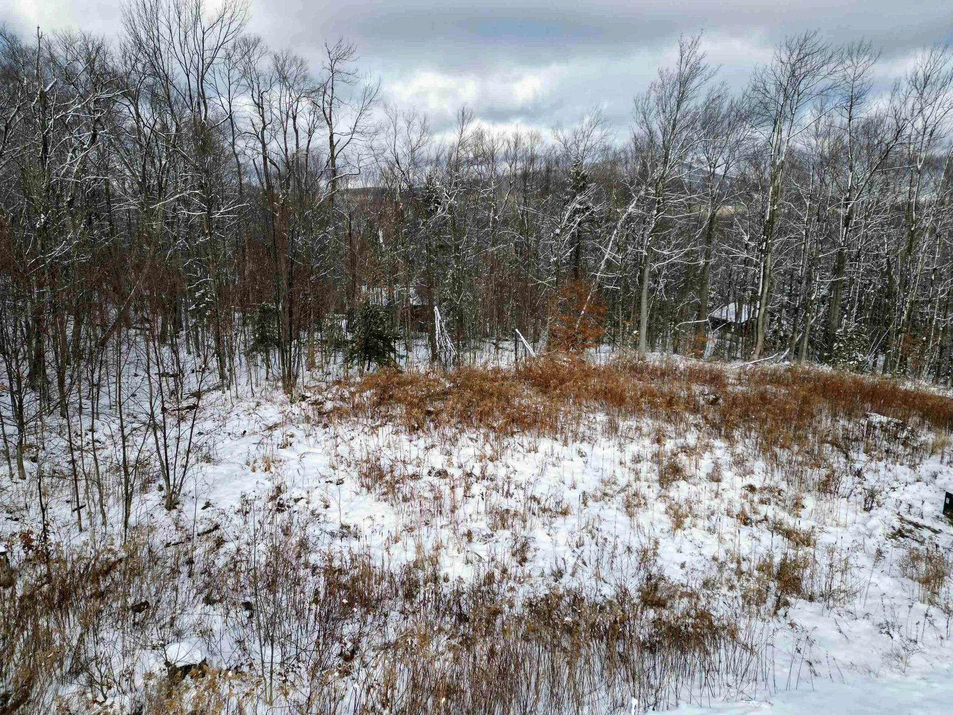 41 Moose Hollow Road Winhall VT 05340