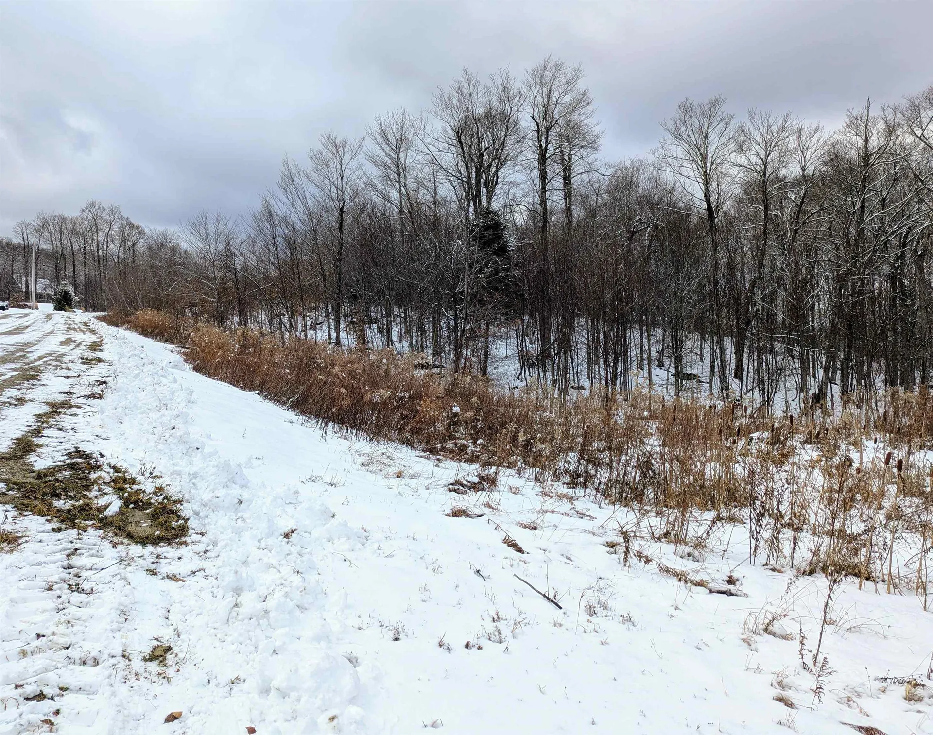 41 Moose Hollow Road Winhall VT 05340