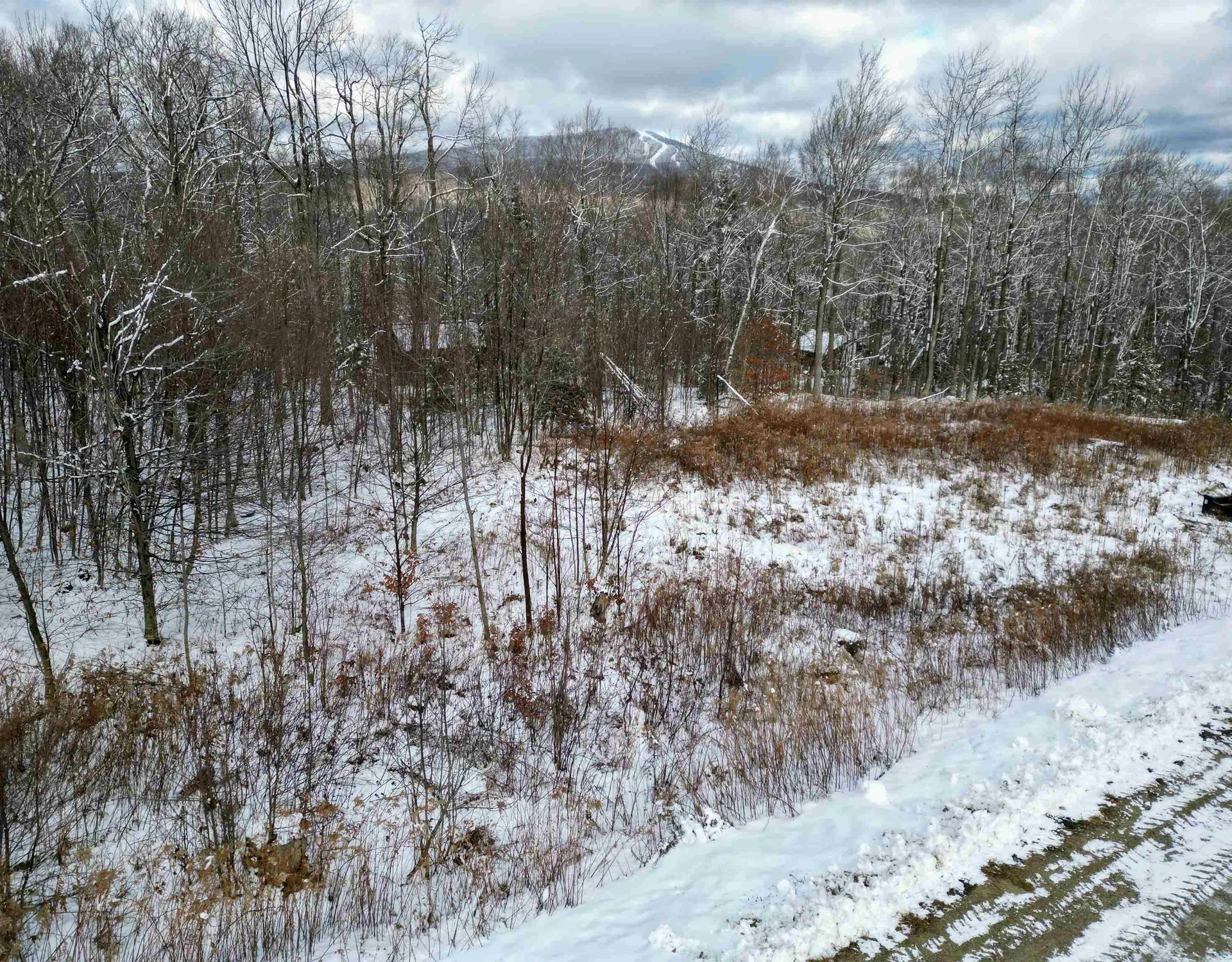 41 Moose Hollow Road Winhall VT 05340