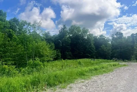 41 Moose Hollow Road Winhall VT 05340