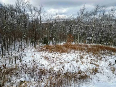 41 Moose Hollow Road Winhall VT 05340