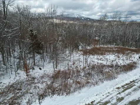 41 Moose Hollow Road Winhall VT 05340
