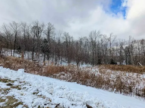 41 Moose Hollow Road Winhall VT 05340