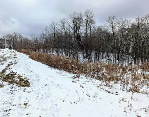 41 Moose Hollow Road Winhall VT 05340