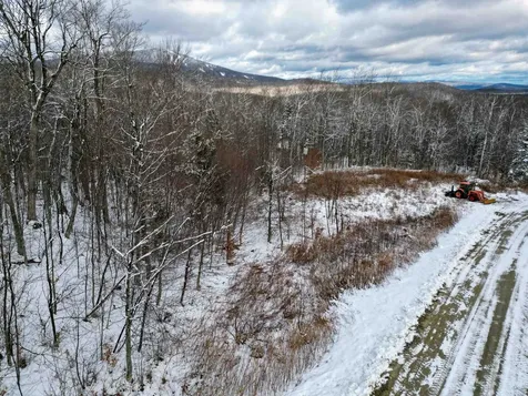 41 Moose Hollow Road Winhall VT 05340