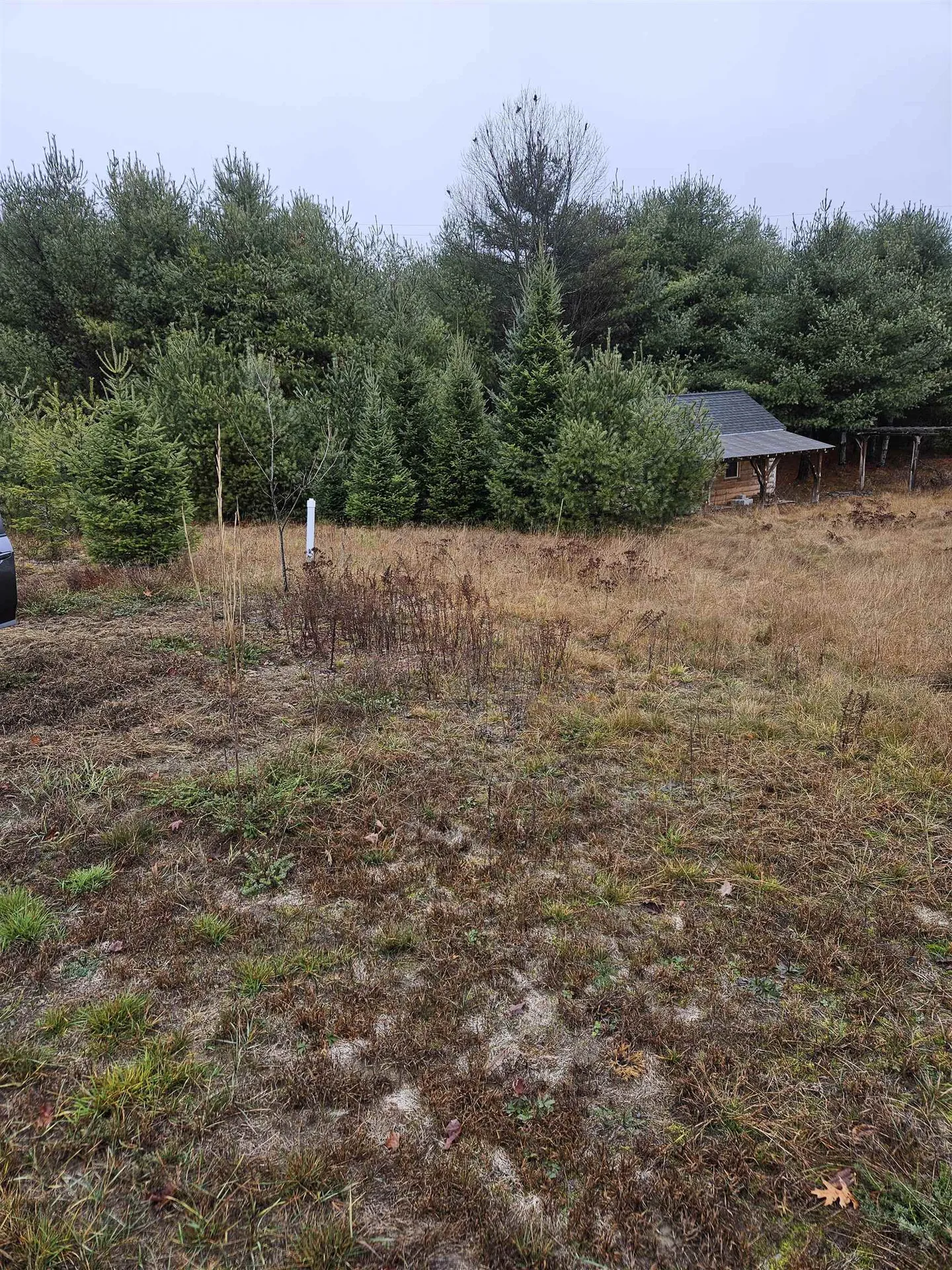 1615 Street Johnsbury Road Littleton NH 03561