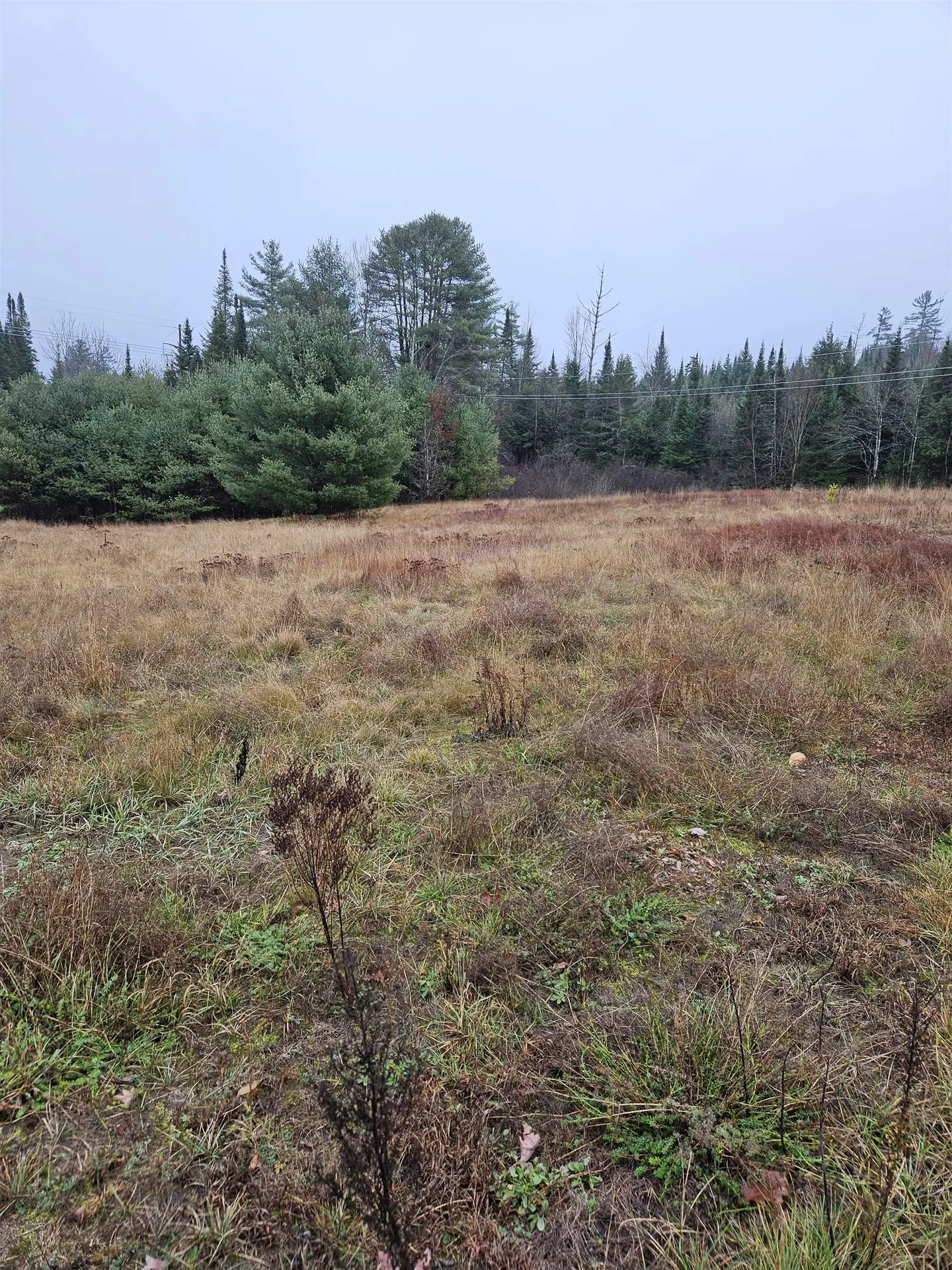 1615 Street Johnsbury Road Littleton NH 03561