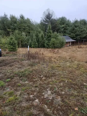 1615 Street Johnsbury Road Littleton NH 03561