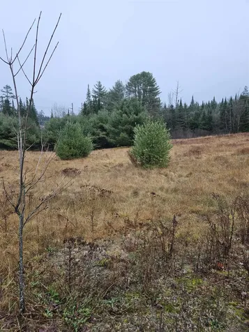 1615 Street Johnsbury Road Littleton NH 03561