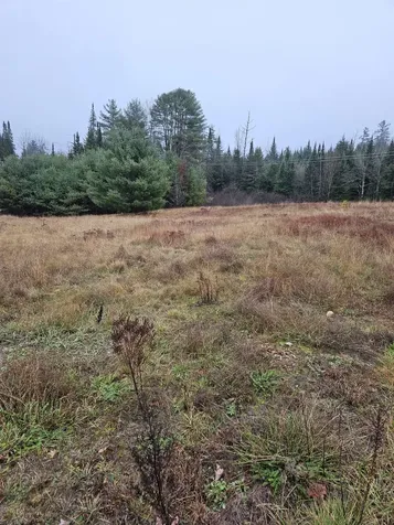 1615 Street Johnsbury Road Littleton NH 03561