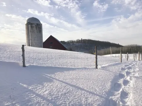 1035 Us Route 5 Derby VT 05829