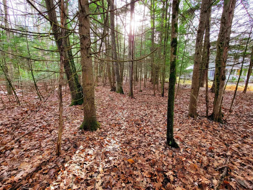 43 Tanglewood Drive Essex VT 05452