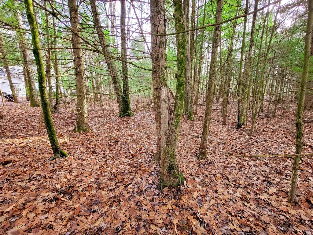 43 Tanglewood Drive Essex VT 05452