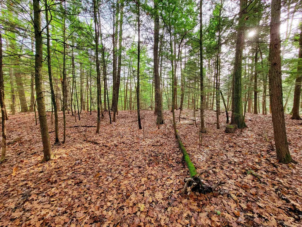 43 Tanglewood Drive Essex VT 05452