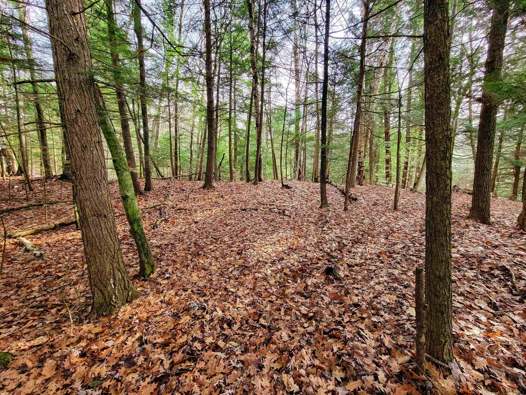 43 Tanglewood Drive Essex VT 05452