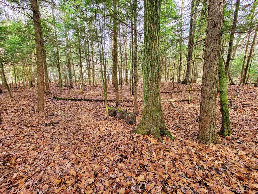 43 Tanglewood Drive Essex VT 05452