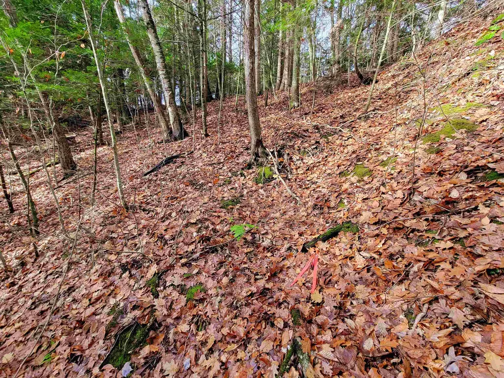 43 Tanglewood Drive Essex VT 05452