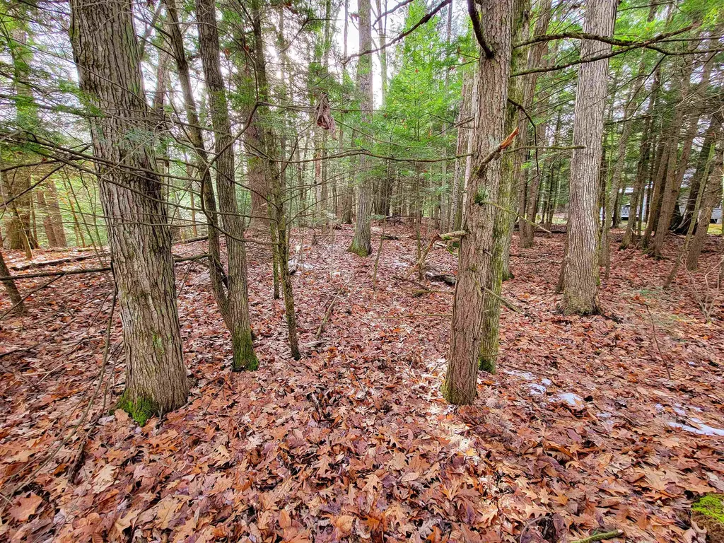 43 Tanglewood Drive Essex VT 05452