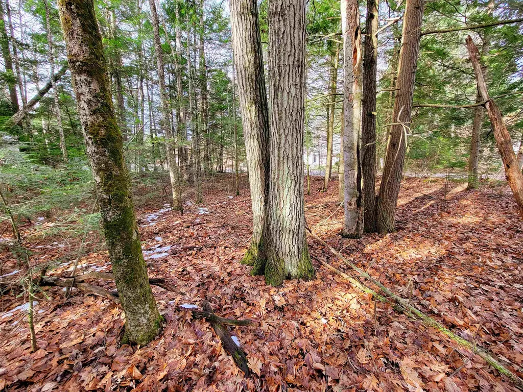 43 Tanglewood Drive Essex VT 05452