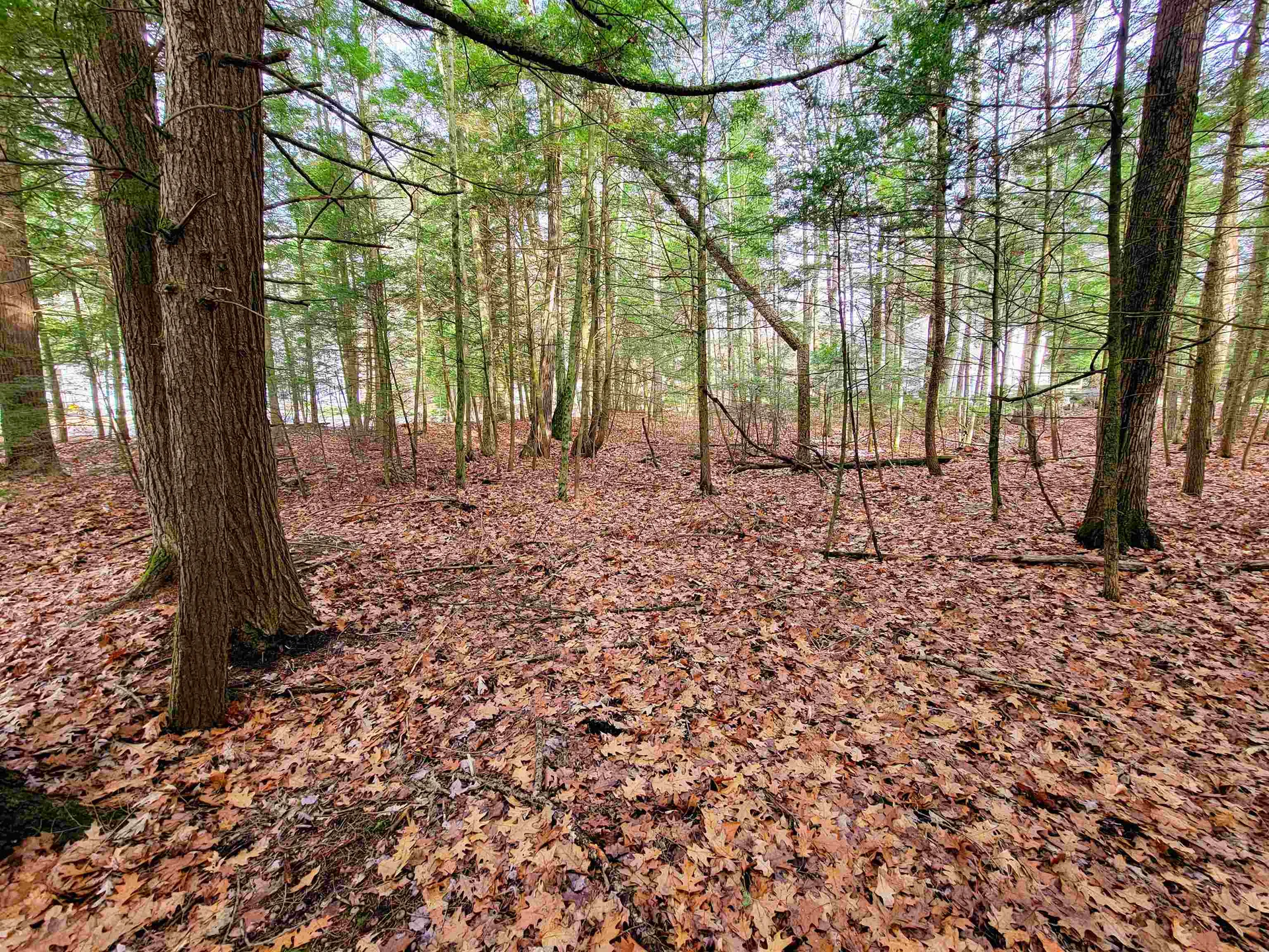 43 Tanglewood Drive Essex VT 05452