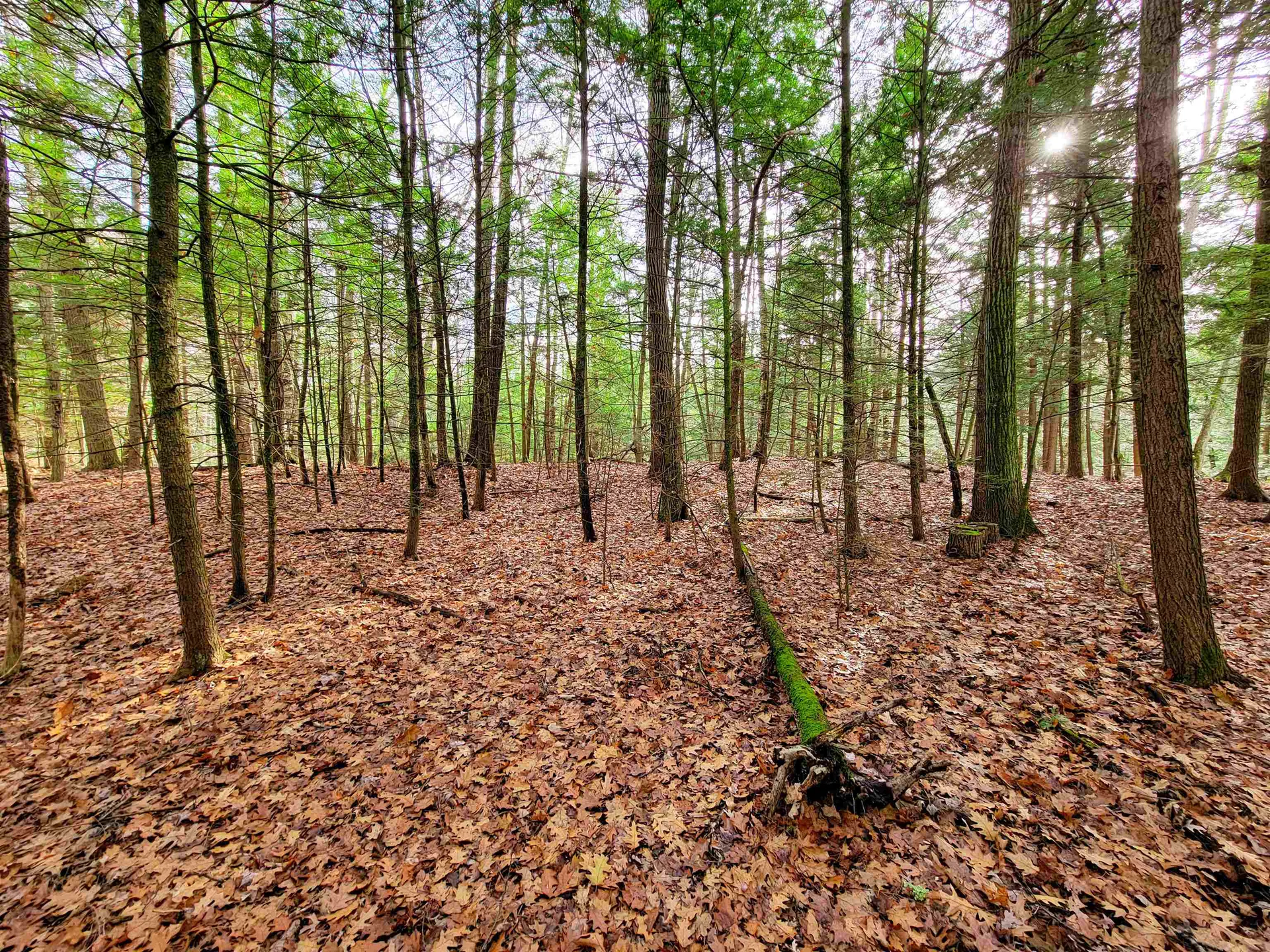 43 Tanglewood Drive Essex VT 05452