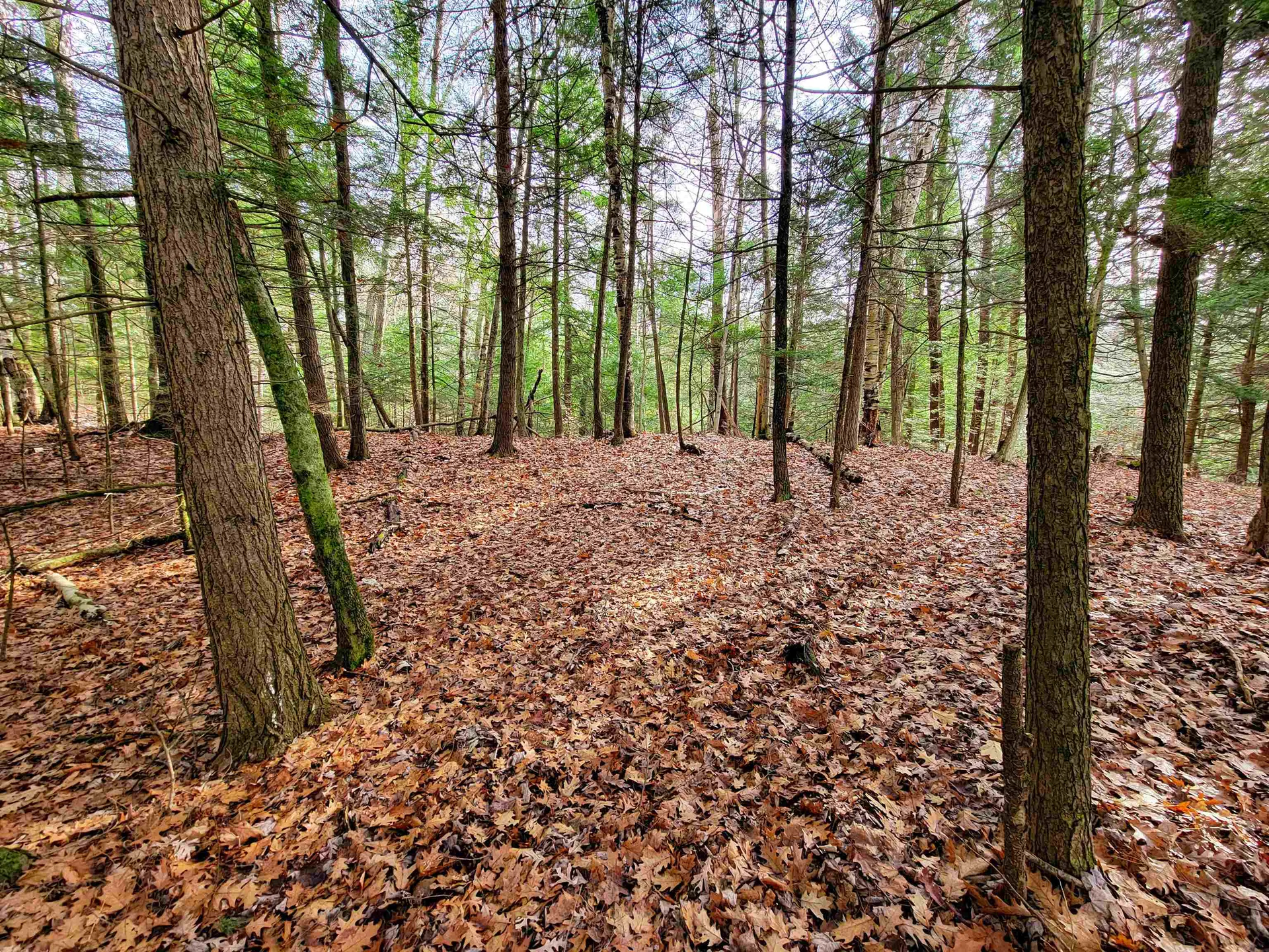 43 Tanglewood Drive Essex VT 05452