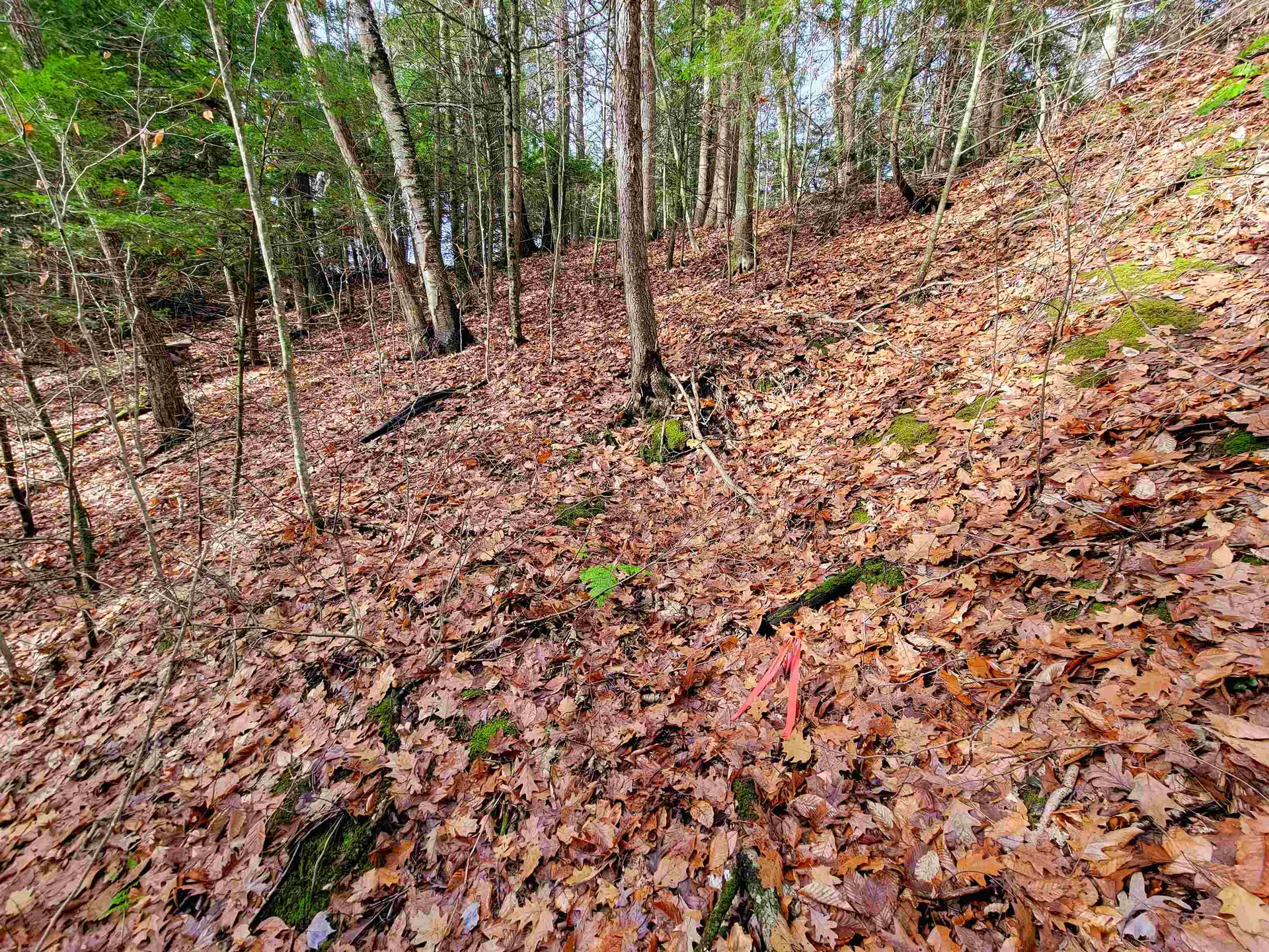 43 Tanglewood Drive Essex VT 05452