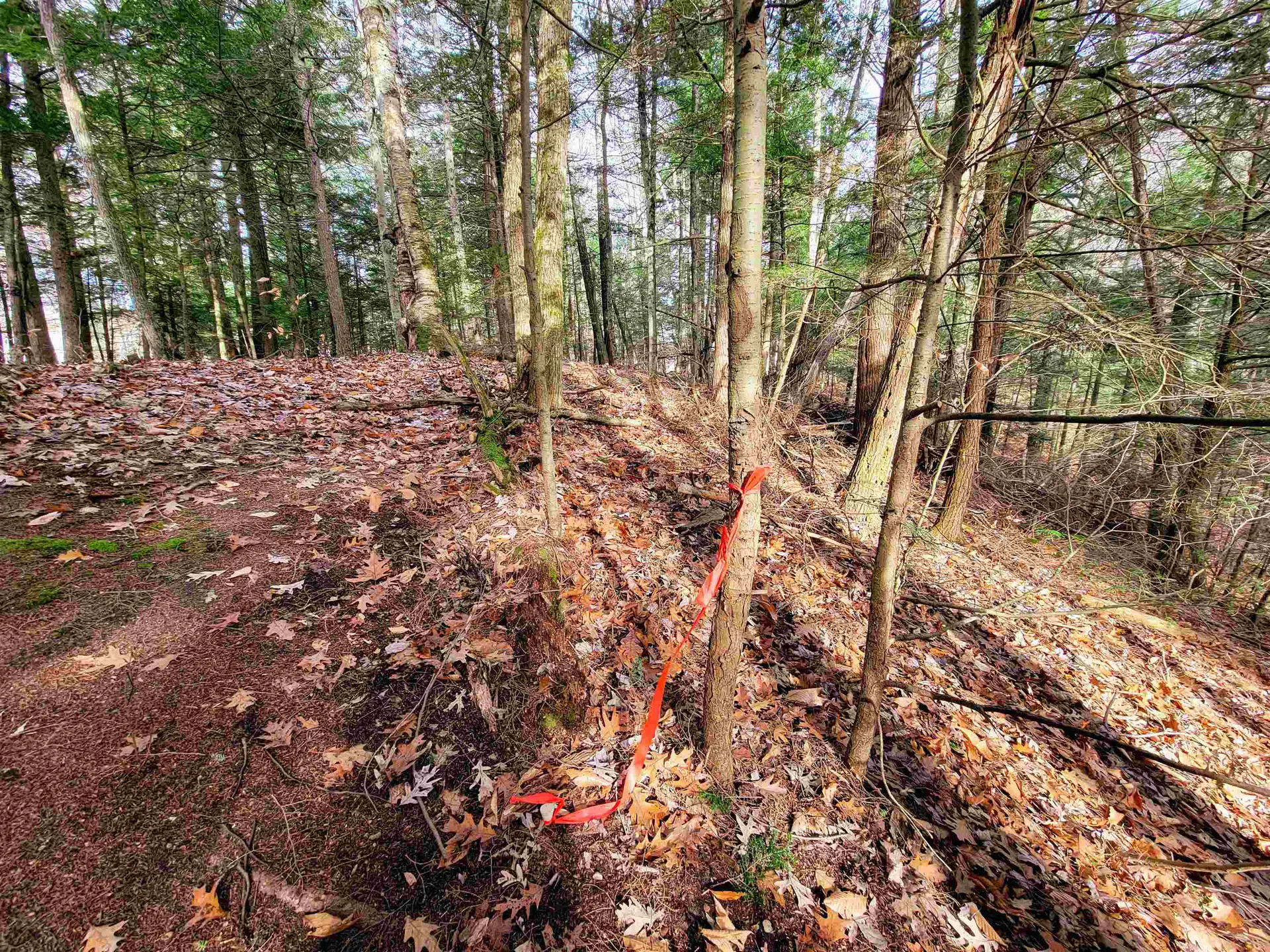 43 Tanglewood Drive Essex VT 05452