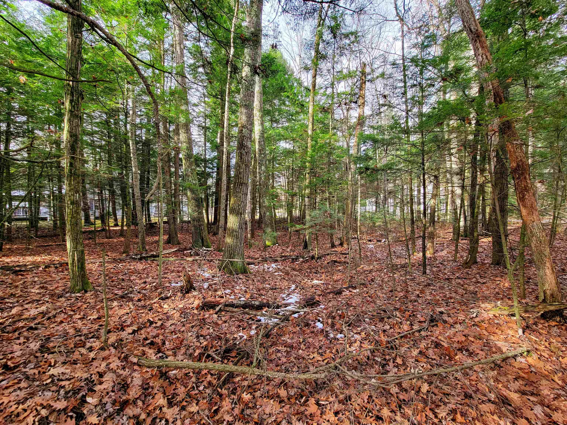 43 Tanglewood Drive Essex VT 05452